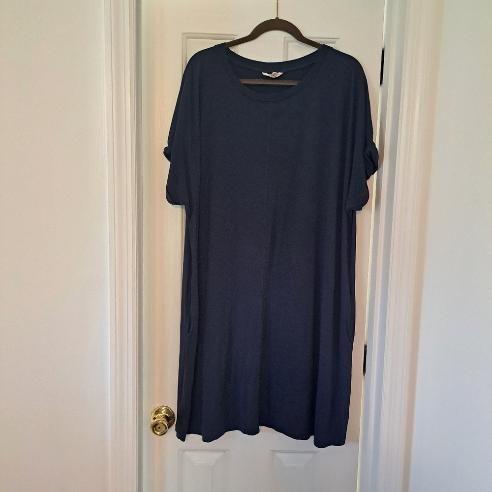 Terra & Sky 2X Navy T shirt dress